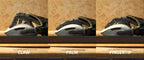 Razer DeathAdder V2 X