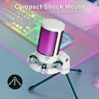 FIFINE A2 Microphone